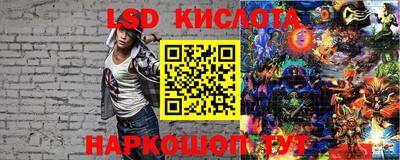 соль ск Славгород