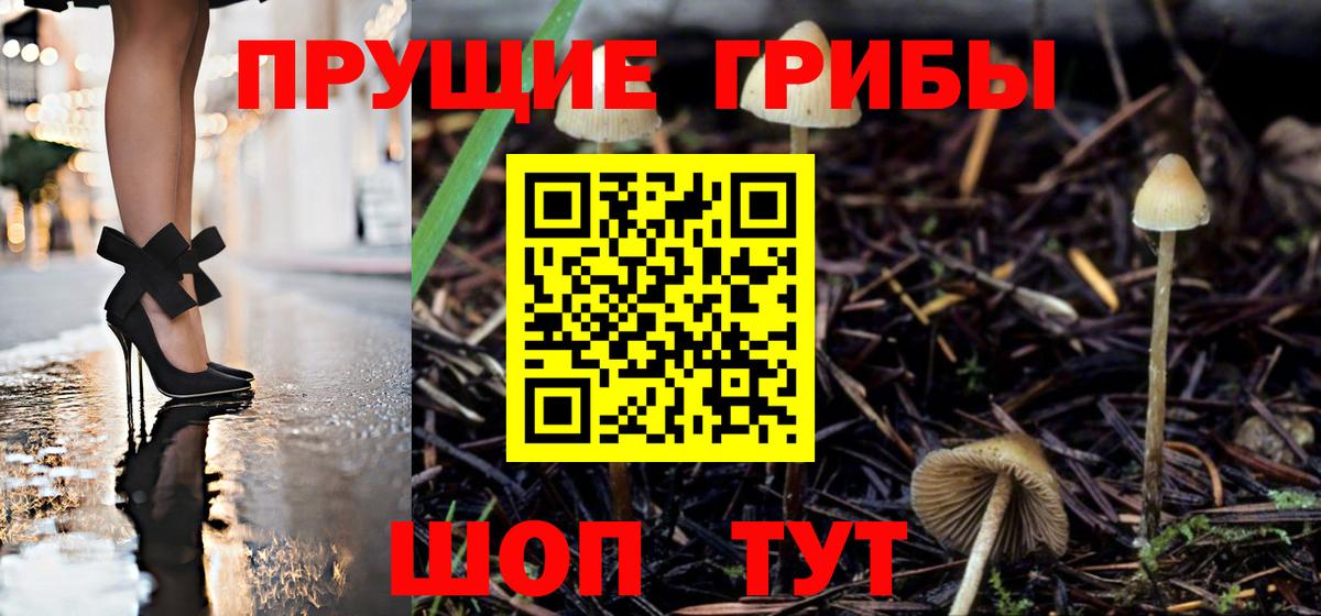 Псилоцибиновые грибы Psilocybe Фролово