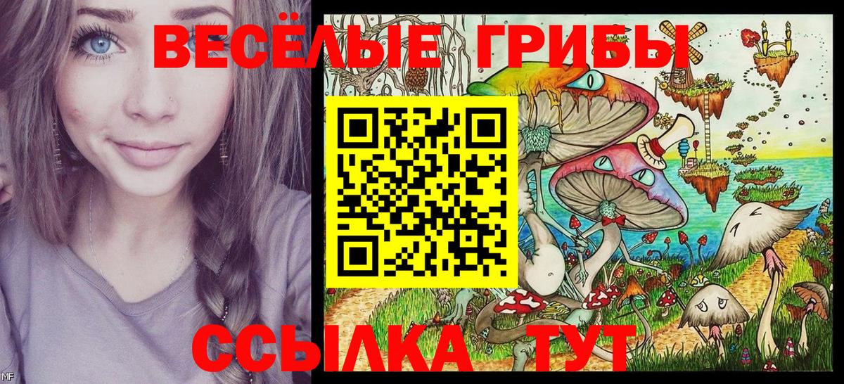 Псилоцибиновые грибы MAGIC MUSHROOMS  Вход с VPN  Фролово 